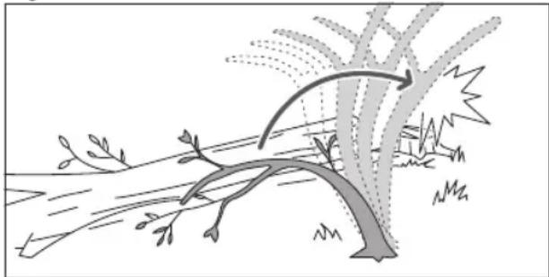 RYOBI RY18GSA - TAGLIARE RAMI DA UN ALBERO ABBATTUTO - 2