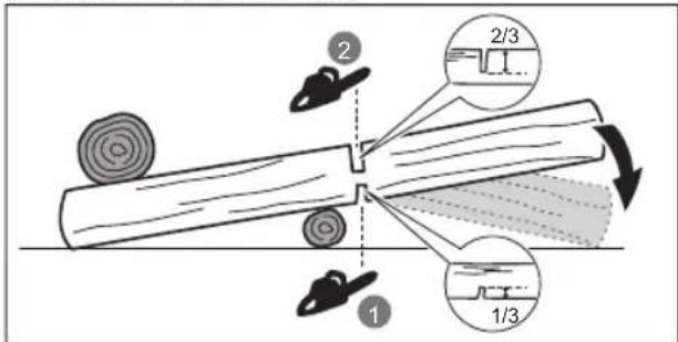RYOBI RY18GSA - CORTE TRANSVERSAL DE UN TRONCO - 1