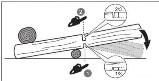 RYOBI RY18PSX15A - EINEN BAUMSTAMM ABLÄNGEN - 1