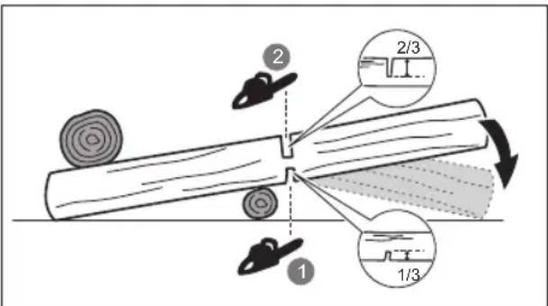 RYOBI RY18PSX15A - DEBITAREA UNUI BUŞTEAN LA DIMENSIUNE - 1