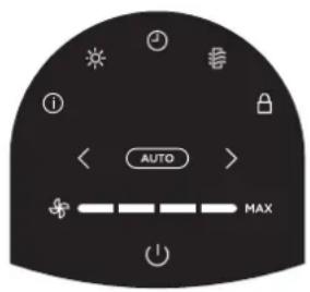 AUTO MAX