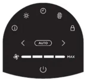 AUTO MAX