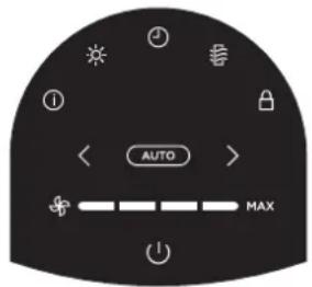 AUTO MAX