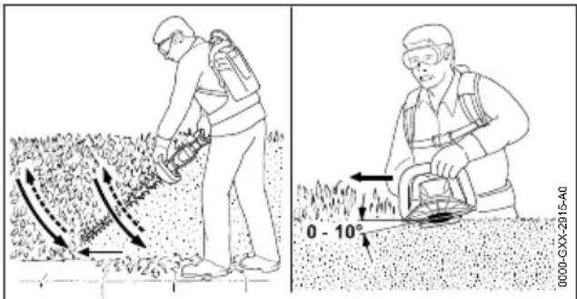 STIHL HSA 130 T - Taille d'une haie - 1