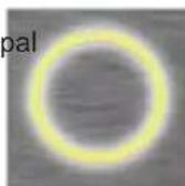 GE Profile OPAL01GEPKT - Selector de modo (ubicado en la parte trasera) - 3