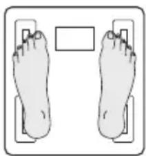 TANITA FitScan UM041F - OBTENDO LEITURA PRECISA - 1