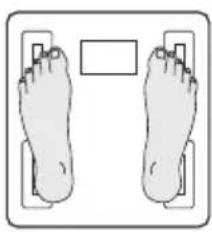 TANITA FitScan UM041F - CÓMO OBTENER LECTURAS EXACTAS - 1