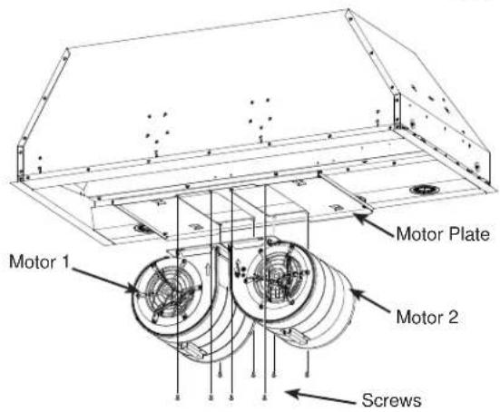 Motor 1 Motor Plate Motor 2 Screws
