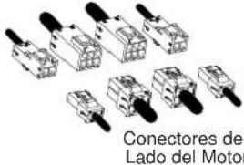 Conectores del Lado del Motor
