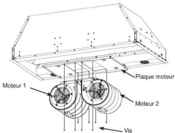 Plaque moteur Moteur 1 Moteur 2 Vis