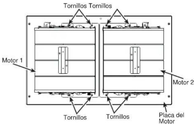 Tornillos Tornillos Motor 1 Tornillos Tornillos Placa del Motor Motor 2