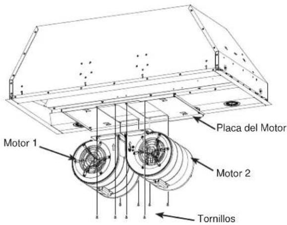 Placa del Motor Motor 1 Motor 2 Tornillos