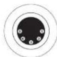 Futurelight DMB160 - Belegung der XLR-Verbindung: - 3