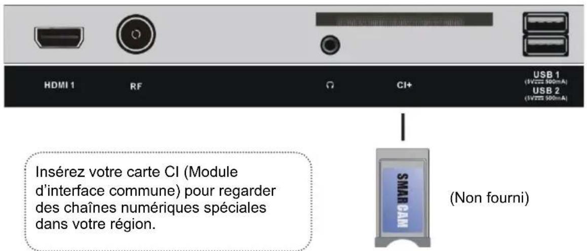 HDMI 1 RF CI+ USB 1 (5V=500mA) USB 2 (5V=500mA) Insérez votre carte CI (Module d'interface commune) pour regarder des chaînes numériques spéciales dans votre région. SMAR CAM (Non fourni)