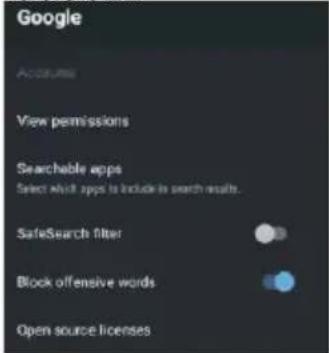 Google Accume View permissions Searchable apps Select which apps to include in search results. SafeSearch filter Block offensive words Open source licenses