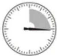 SCHNEIDER SCESC2206R - Default settings: 15 min sleep mode - 1