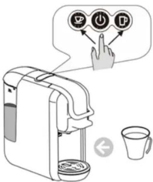 SCHNEIDER SCESC2206R - For the coffee powder - 4