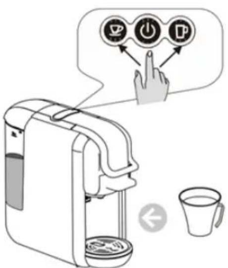 SCHNEIDER SCESC2206R - For capsule holder A - 4