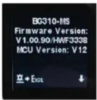 Berger & Schröter BG310M - Cloud Service - Molnus - 2