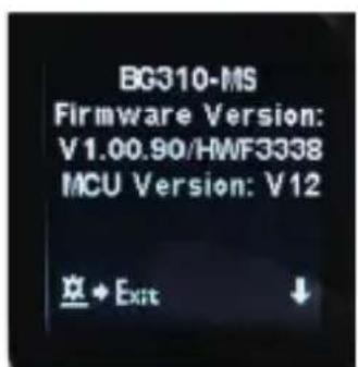 Berger & Schröter BG310M - TF Karten Information - 5