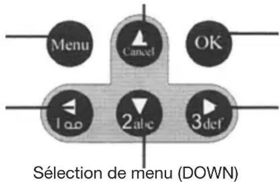 Berger & Schröter SG880MK8mHD - Signes - 1