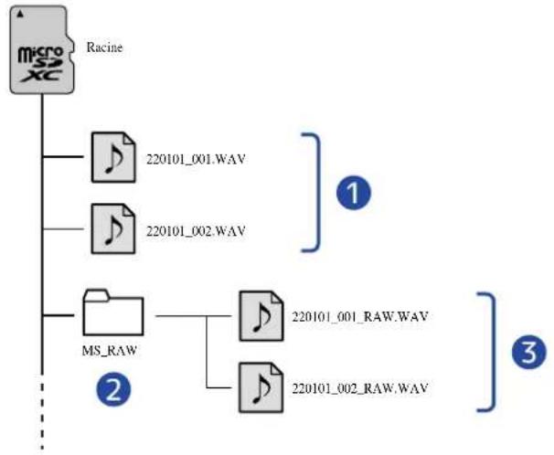ZOOM M3 MicTrak - Structure des dossiers et fichiers - 1