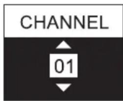 CHANNEL 01