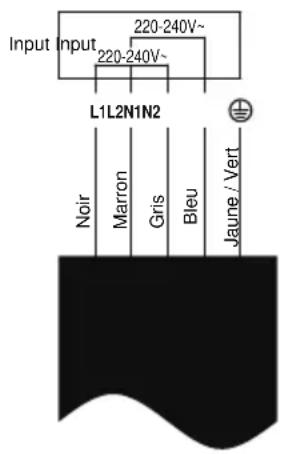 SCHNEIDER SCTI8041N31 - Brancher la plaque de cuisson à l'alimentation - 4