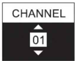 CHANNEL 01