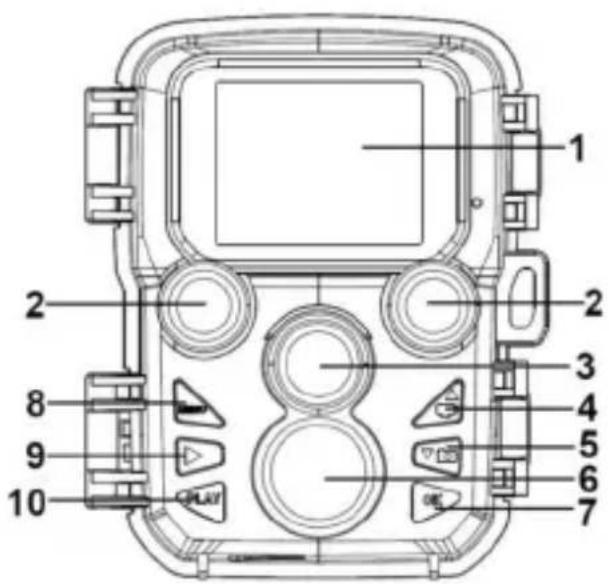Berger & Schröter 31881 - 1