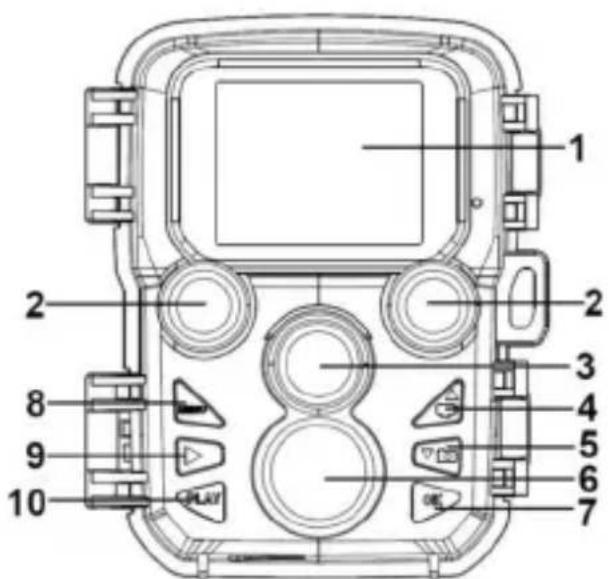 Berger & Schröter 31881 - 1