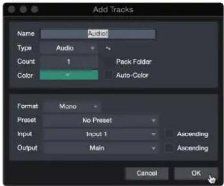 Add Tracks Name Audio1 Type Audio Count 1 Pack Folder Color Auto-Color Format Mono Preset No Preset Input Input 1 Ascending Output Main Ascending Cancel OK