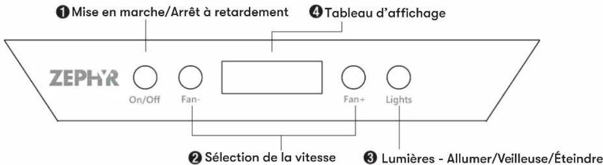 Zephyr Titan AK7754BS - Commandes ACL électroniques - 1
