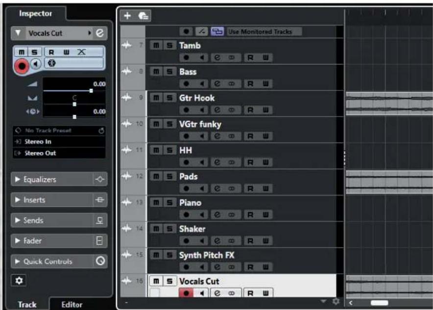 STEINBERG Cubase Elements 12 - Pistes - 1