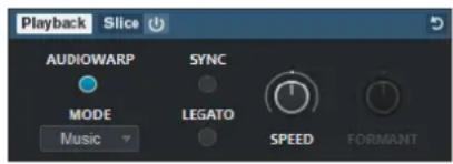 STEINBERG Cubase Elements 12 - AudioWarp - 1
