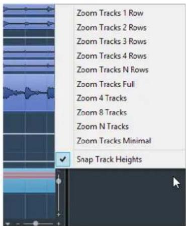 STEINBERG Cubase Elements 12 - Menu Zoom des pistes - 1