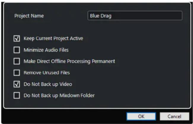 STEINBERG Cubase Elements 12 - Boîte de dialogue Options de copie de sauvegarde - 1