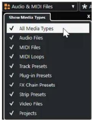 STEINBERG Cubase Elements 12 - Sélecteur Afficher types de média - 1