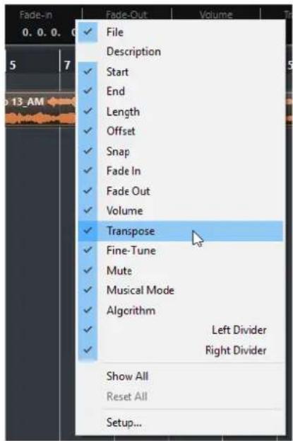 STEINBERG Cubase Elements 12 - Menus contextuels de configuration - 1