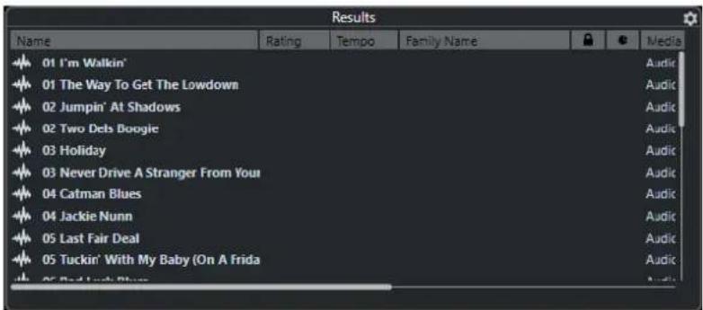 STEINBERG Cubase Elements 12 - Section Résultats - 1
