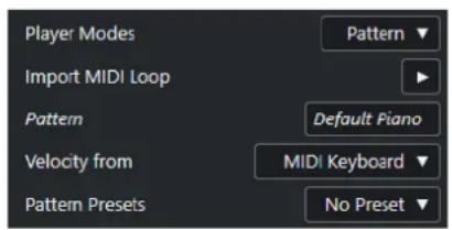 STEINBERG Cubase Elements 12 - Modes de joueurs—Pattern - 1