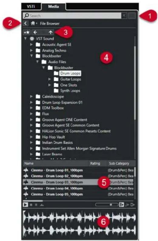 STEINBERG Cubase Elements 12 - Page Explorateur de fichiers - 1