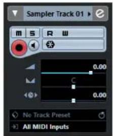 STEINBERG Cubase Elements 12 - Inspecteur de la piste Échantillonneur - 1