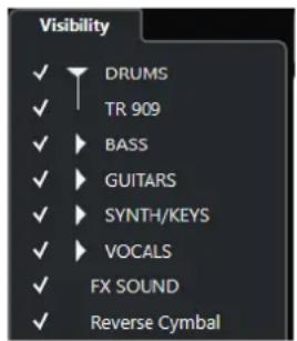 STEINBERG Cubase Elements 12 - Visibilité dans la MixConsole - 1