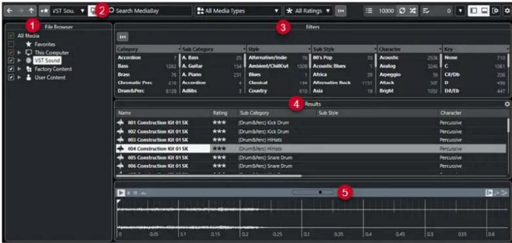 STEINBERG Cubase Elements 12 - Fenêtre de la MediaBay - 1