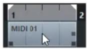STEINBERG Cubase Elements 12 - Conteneurs MIDI - 1