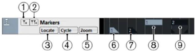 STEINBERG Cubase Elements 12 - Piste Marqueur - 1