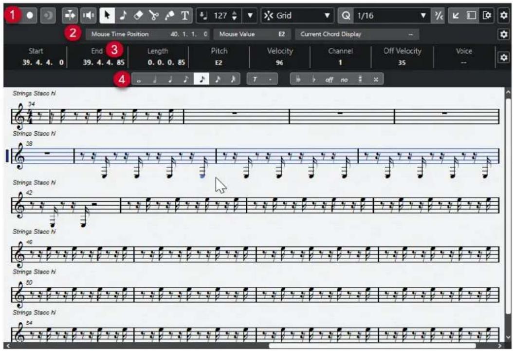 STEINBERG Cubase Elements 12 - À NOTER - 1