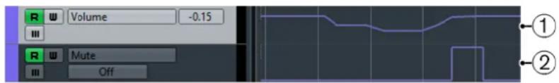 STEINBERG Cubase Elements 12 - Courbes d'automatisation - 1