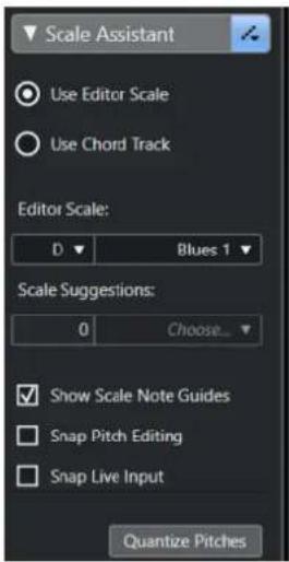 STEINBERG Cubase Elements 12 - EXEMPLE - 1